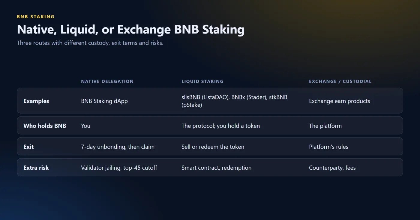Liquid Staking and Other Ways to Stake BNB