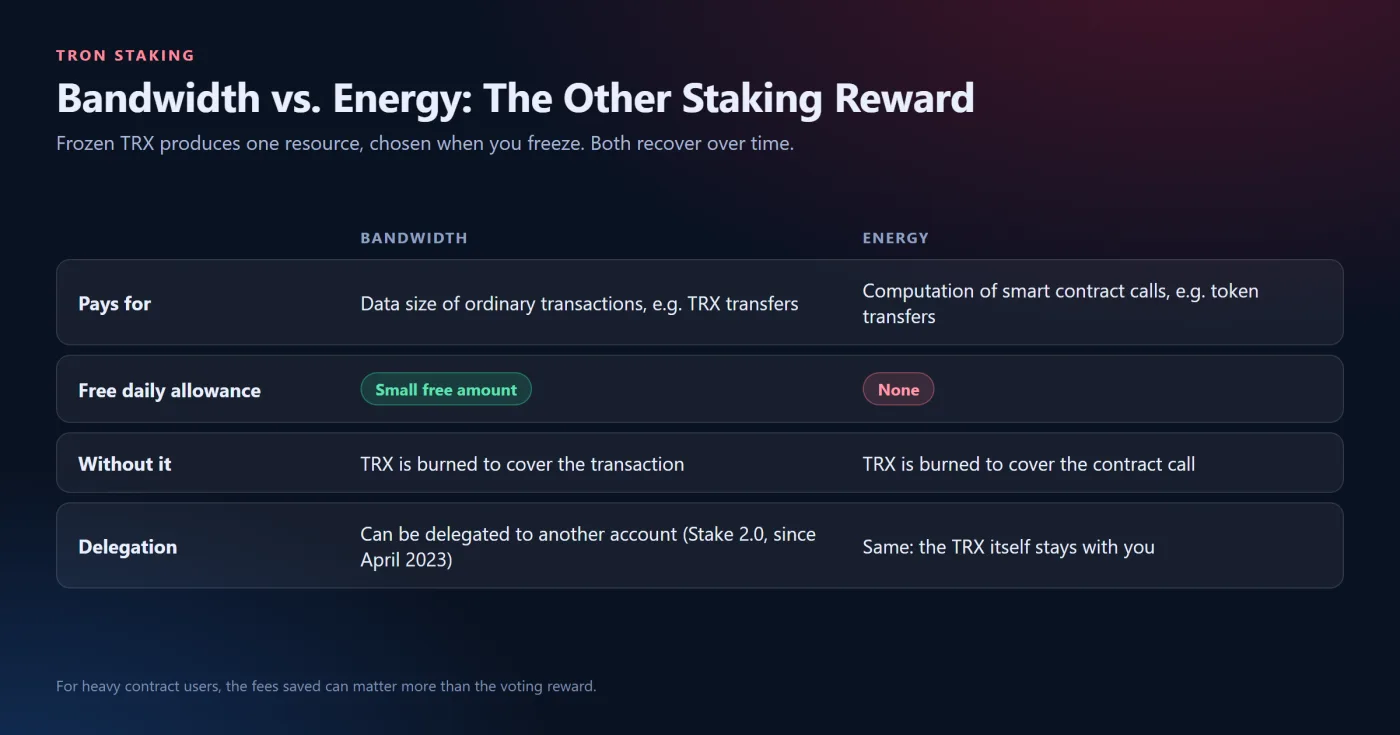 Bandwidth and Energy: The Other Part of Staking