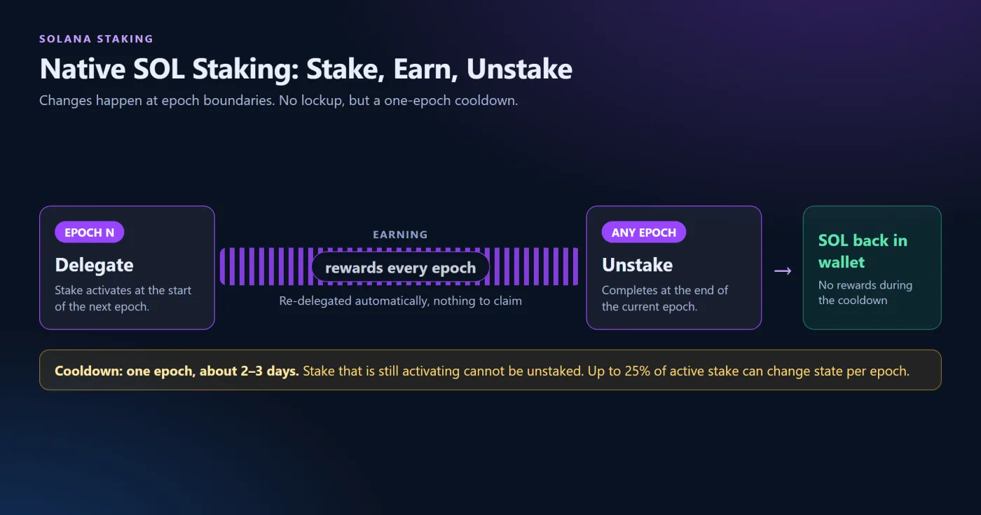 How Native Solana Staking Works