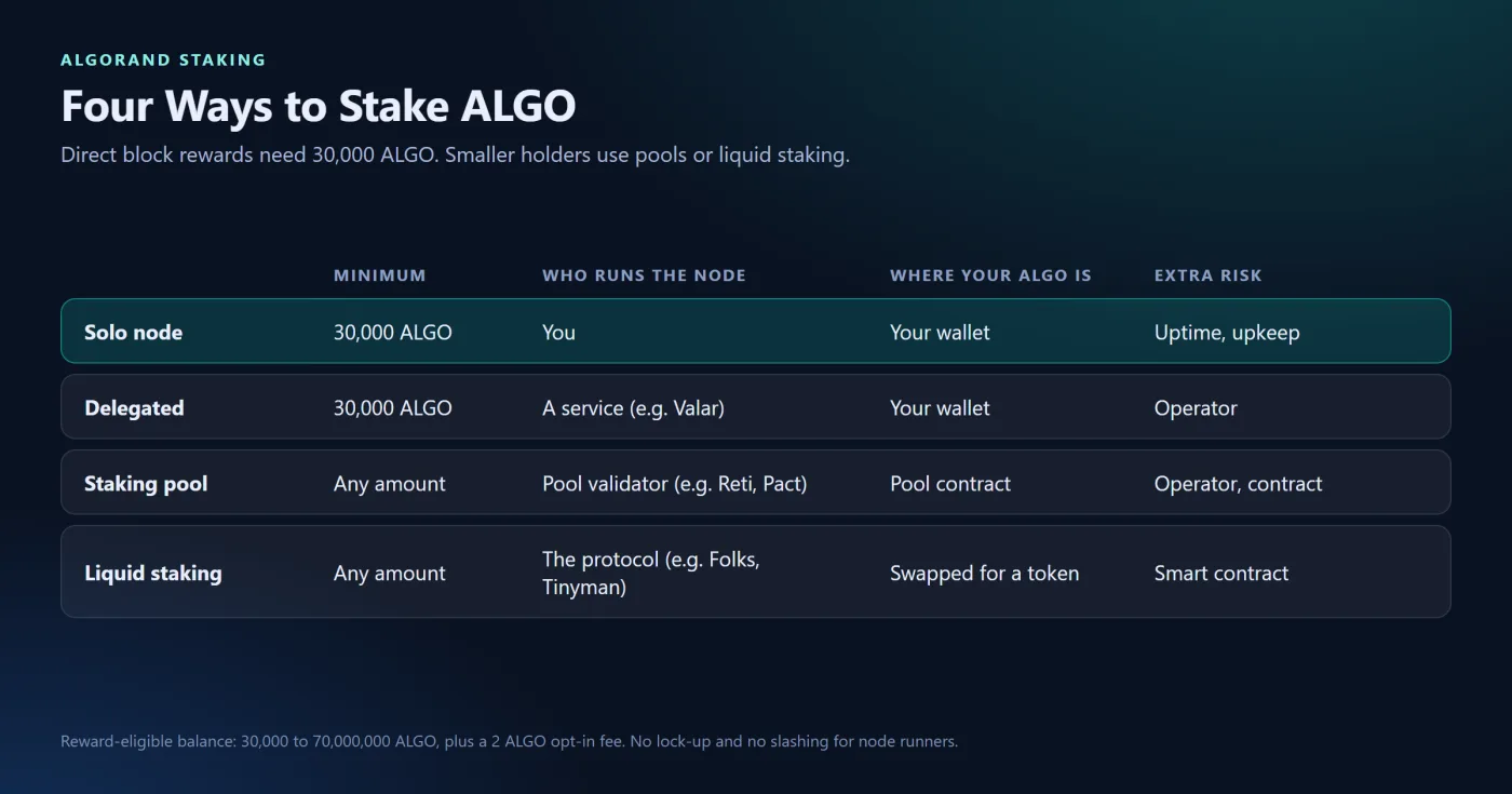 Four Ways to Stake Algorand
