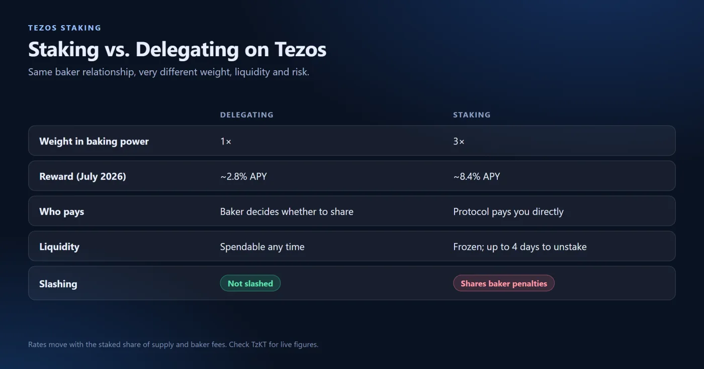 Staking Versus Delegating