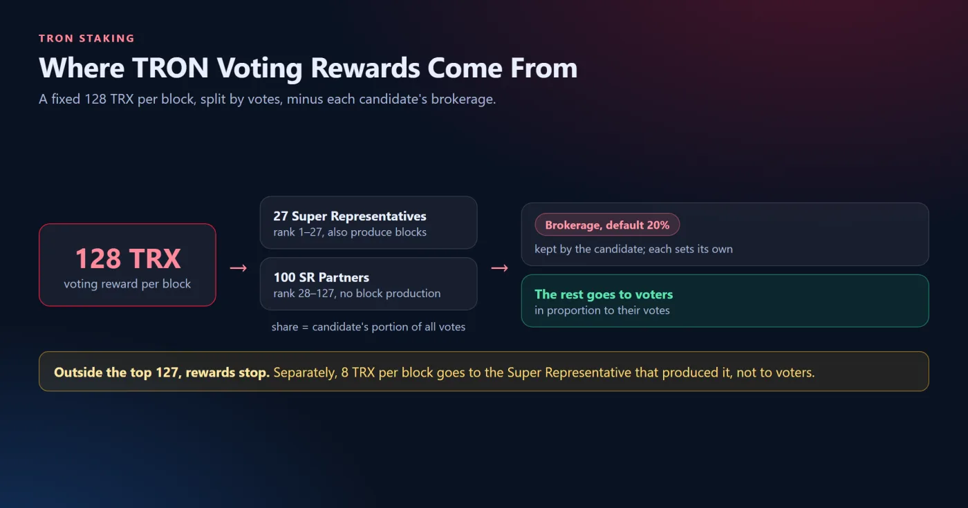 How Voting Rewards Work